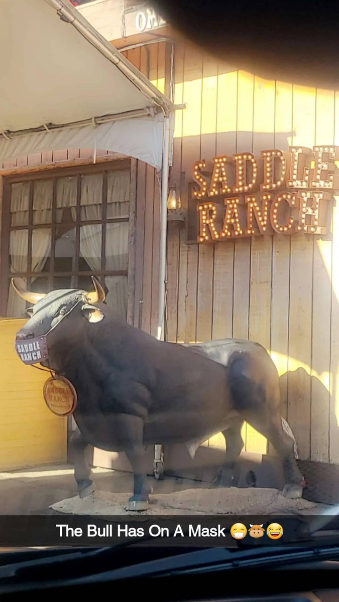 msmastafoxx's tweet photo. The Bull Has On A Mask! 😷🐮😂🔑 🌞🌴💜👑👽🖖🏽🌟🔮🌈👁🎬🎥📷🦄 #SaddleRanch #MsMastaFoXX #MilliOM #MastaWeathKeys #MastaOracle #Chakras #NeoMind #Creator #5DEye #5DBeings #5DWave #MsCosmicQueen #LosAngeles #Friday #FiveDDay #THC #CosmicFam #FreeSpirit #MyCreatorLife #VlogStar https://t.co/uplbjFPZen