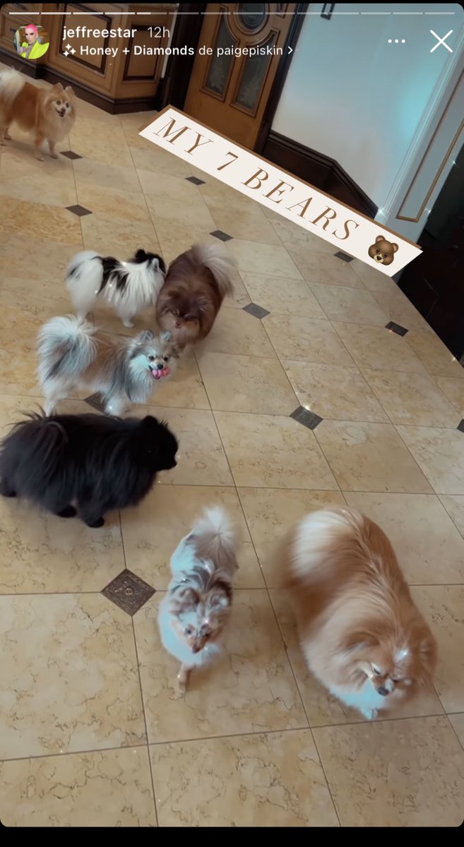 Ver las historias de los pomeranios de jeffree star me dan vida
