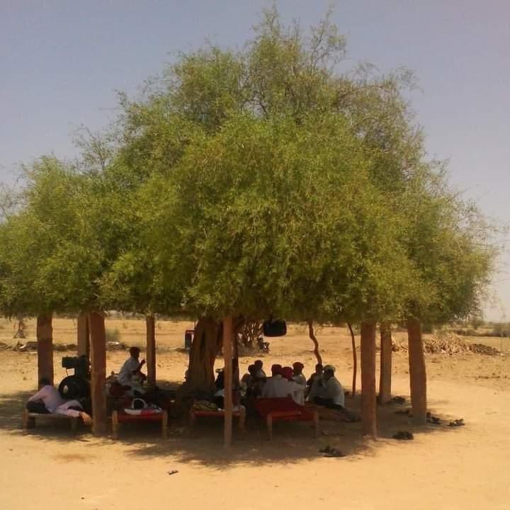 ParveenKaswan's tweet photo. Importance of tree in one picture. You also plant some today on #WorldEnvironmentDay. Via WA. https://t.co/NgDJDxpi7U