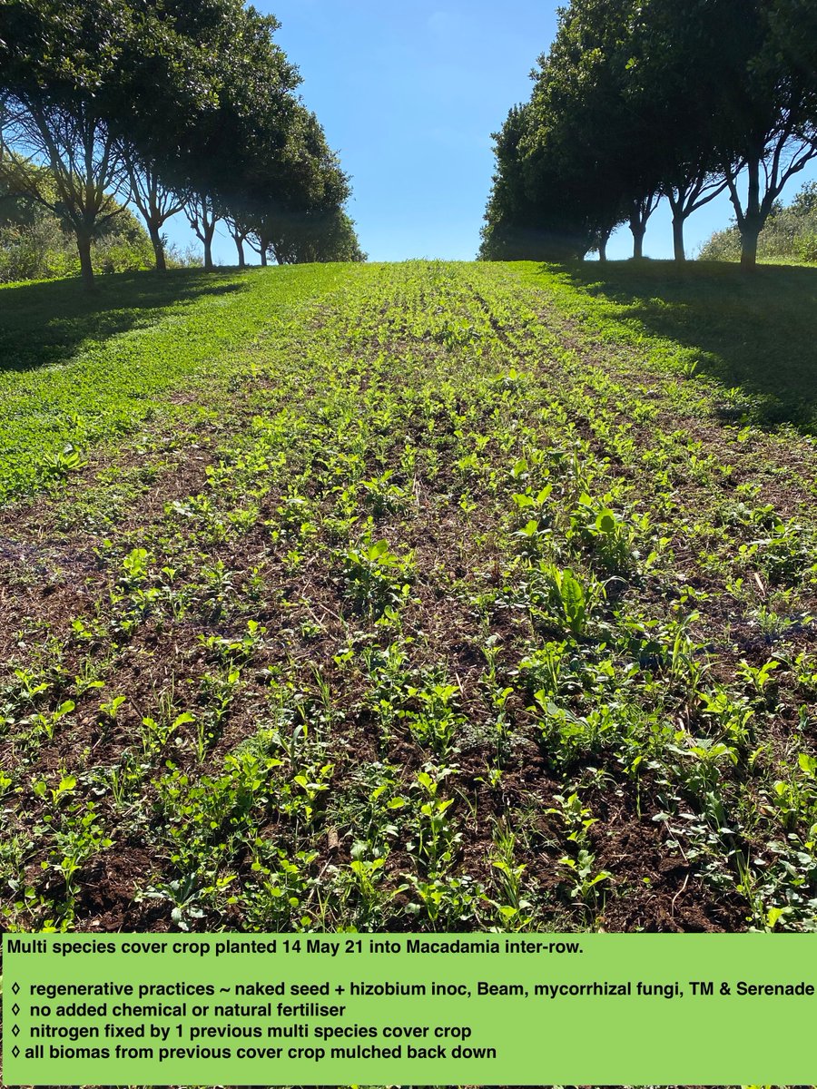 D Rex Harris tweet media