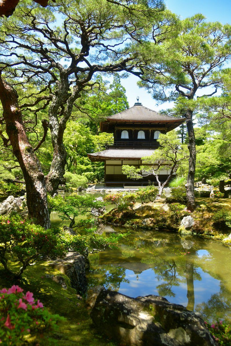 銀閣寺 Twitter Search