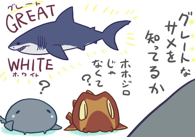 イヌザメさんとネコザメさんのtwitterイラスト検索結果 イヌザメさんとネコザメさんのtwitterイラスト検索結果