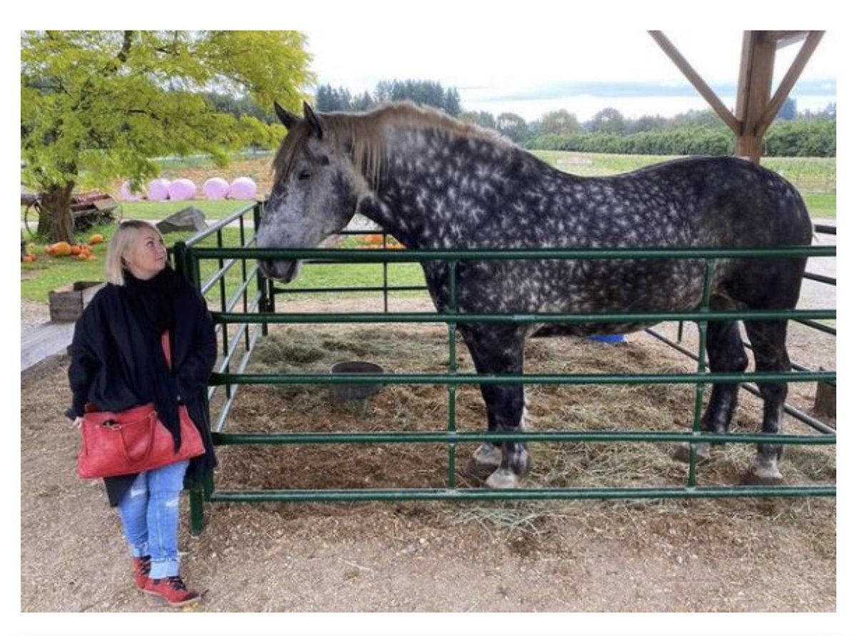We only have two weeks left to get more signatures on our official petition to #STOPLIVEHORSEEXPORT PLEASE HELP US END THIS SINISTER PART OF CDN AG. Large horses stuffed in crates- flown to japan- no food no water TERRIFIED. horseshit.ca to sign EATEN RAW FOR SUSHI