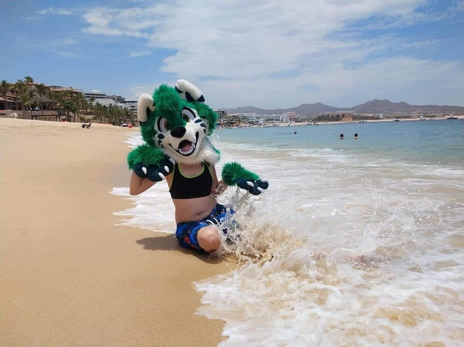 KadekiLaHusky's tweet photo. Dia de playita, para el calor~

Fursuit: Mojito🍸

#FelizFridayFurry #FridayFurry #ViernesFurry #FursuitFriday #furryfandom https://t.co/xAWobAB1Zr