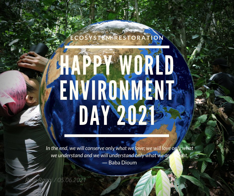 roseragai's tweet image. Celebrate World Environment Day 2021 virtually again this year. 
#WorldEnvironmentDay2021 
#EcosystemRestoration 
#unenvironmentprogramme
#reimaginerecreaterestore