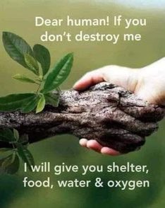 monspreadlove's tweet photo. #Everyone let ur #kids have #Pureair #shade #purewater in Future! Work today in planting more trees for a better tomorrow!It’s pay back time now! #naturelovers #HappyWorldEnvironmentDay2021 https://t.co/RjMAXCHfu5