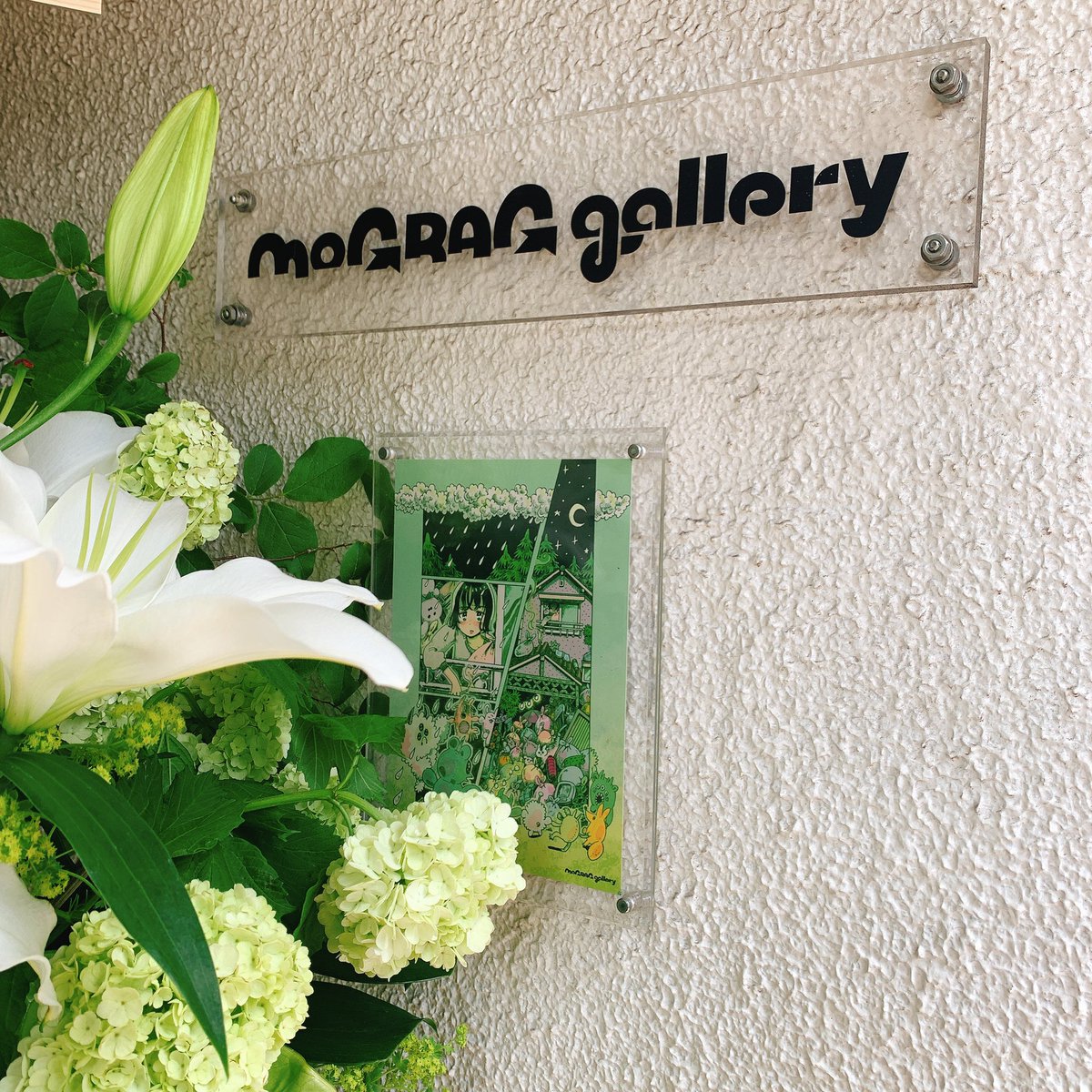 🌴🌴個展開催🌴🌴
本日より個展『庭と侵略者』が始まります!
原画40枚の販売、Tシャツやグッズのご用意もあります。
新刊『教室の片隅で青春がはじまる』の先行発売はサイン入りイラスト付きで30冊在庫があります。
場所は @mograggarage さんです!