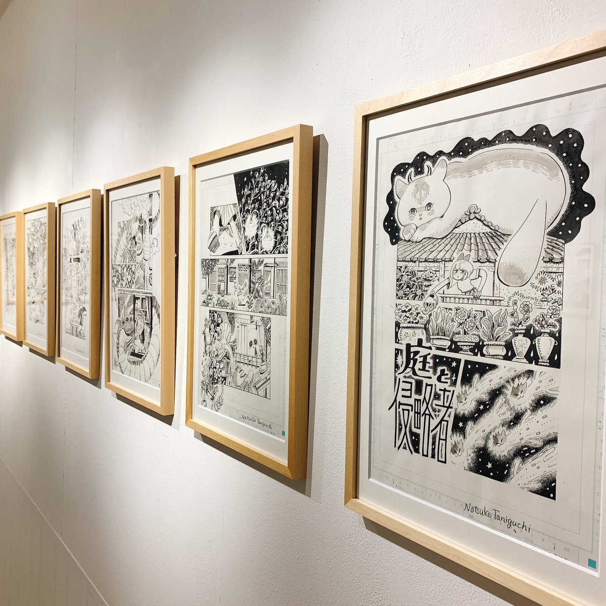 🌴🌴個展開催🌴🌴
本日より個展『庭と侵略者』が始まります!
原画40枚の販売、Tシャツやグッズのご用意もあります。
新刊『教室の片隅で青春がはじまる』の先行発売はサイン入りイラスト付きで30冊在庫があります。
場所は @mograggarage さんです!