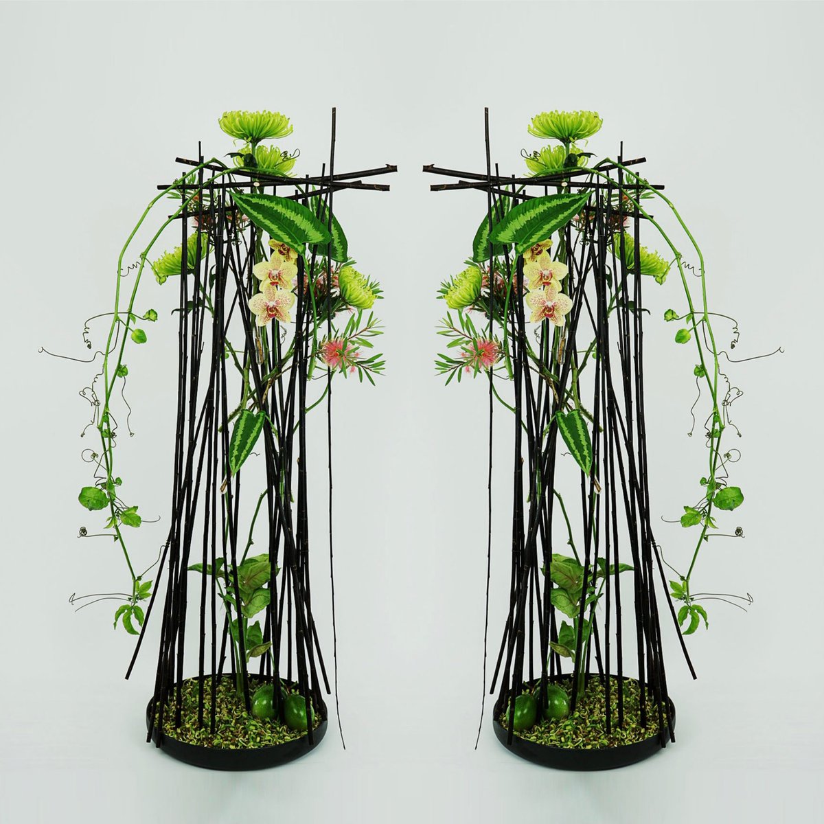 MarkPampling's tweet photo. ‘Sprouting Vitality’ in the current issue of Fusion Flowers Magazine (issue #120).
Don’t ask how about those Mung Beans and how I got them to sprout!!
#fusionflowersmagazine
#mungbeans
#floraldesign #floraldesigner #florist #masterflorist #markpampling #floraldesignexpert https://t.co/7fWWYI71ZO