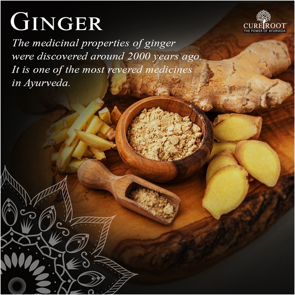 CureRoot's tweet photo. Ginger is very useful in the treatment of nausea, loss of appetite, and vomiting.
#Ginger #GingerHealth #PowerfulHerb #Nausea #Appetite #Vomiting #HealthCare #ThePowerOfTheAyurveda #CureRoot https://t.co/hS0KzPU2kw