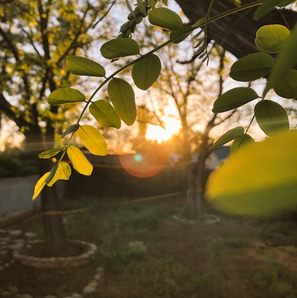 Nasadox_'s tweet photo. The World is ours and we have to protect our Earth at any cost ! Let's Reimagine, Recreate, Restore. ✊🏻🌳🌎
#actnoworgin #enoprogramme #peaceisgreen2021 #bfis #glamanand #generarionrestoration #UNEP #treebuddy @ACTNOWORGIN @UNEP @Greenpeace #Greenpeace #Nasadox https://t.co/tGtYsHiJA9