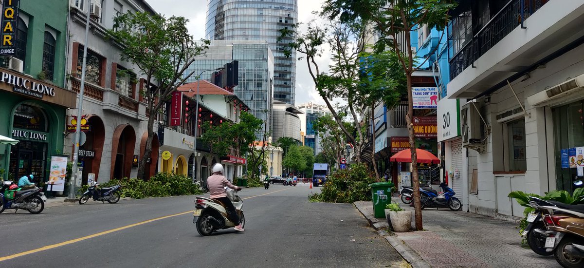Saigon_Redux's tweet photo. Hopefully this is just annual pollarding and not some longer term tree felling exercise.
On Ngo Duc Khe.
#NaturalShade https://t.co/PcGMS5oZuj