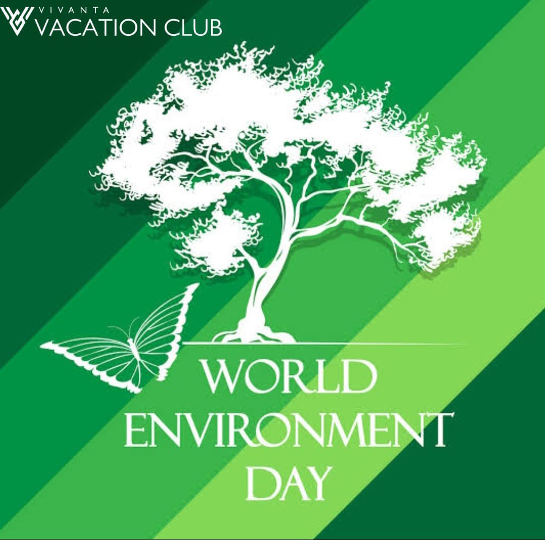 VivantaC's tweet photo. 🌳🌳🌳🌳🌳 https://t.co/vwqhVrTebM