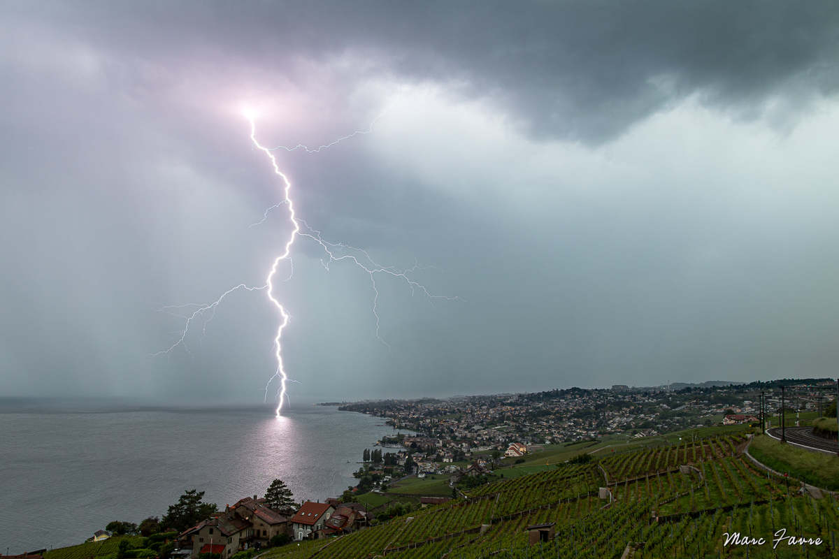 Meteo60 (@meteo60) on Twitter photo Très bel impact de #foudre capturé hier soir sur les bords du lac #Léman en #Suisse au passage d'un système orageux bien actif. L'instabilité persiste localement sur le Centre-Est de la #France cet après-midi.
Photographie : <a href="/Mrc_Fvr/">Marc FAVRE</a> Très bel impact de #foudre capturé hier soir sur les bords du lac #Léman en #Suisse au passage d'un système orageux bien actif. L'instabilité persiste localement sur le Centre-Est de la #France cet après-midi.
Photographie : <a href="/Mrc_Fvr/">Marc FAVRE</a>