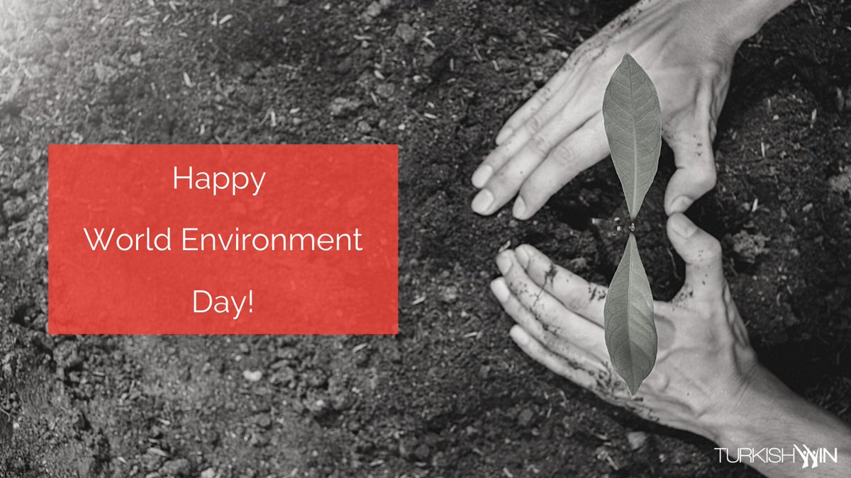 turkishwin's tweet photo. Let's join hands to bring a positive change to make Planet Earth a much healthier, greener, and happier place to live in! Happy World Environment Day!
#TurkishWIN #SpecialDays #WorldEnvironmentDay #Network4Change https://t.co/v2qsP18QSZ