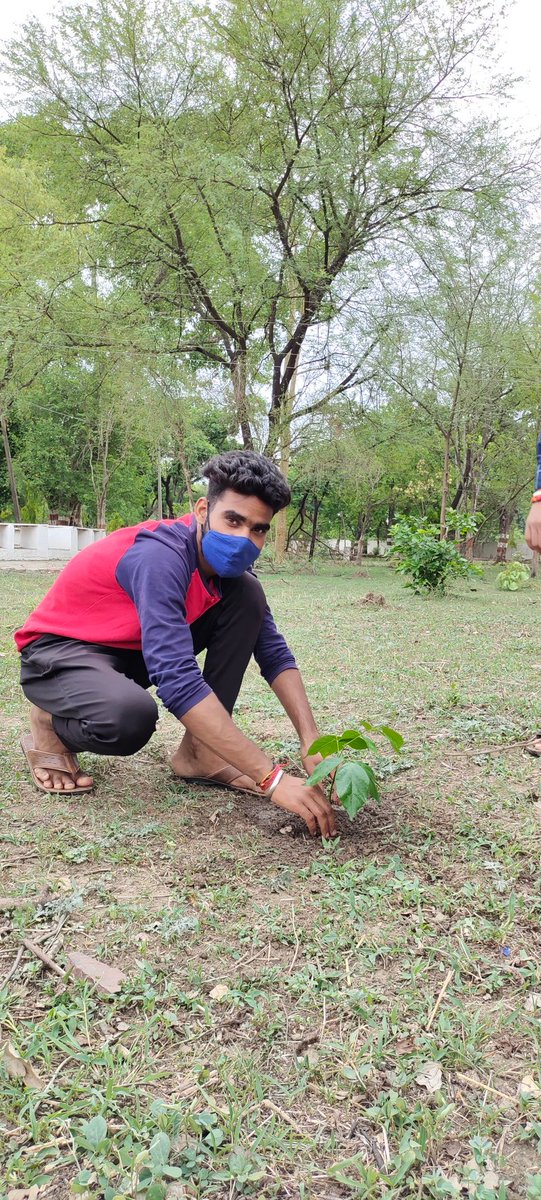 itz___Vishal_04's tweet photo. सूखी सरिता, सूखे सर,कहते जल बर्बाद न कर.पेड़ काटकर पक्षियों का तुम घर उजाड़ते हो,पर्यावरण प्रदूषण फैलाते हो और उन्हें पाने के लिए भी तरसाते हो,कुछ तो अब शर्म करो, पेड़ लगाकर कुछ तो अच्छे कर्म करो.
#विश्व_पर्यावरण_दिवस_2021
#WorldEnvironmentDay #WorldEnvironmentDay2021 https://t.co/VqmZoF8Ek2