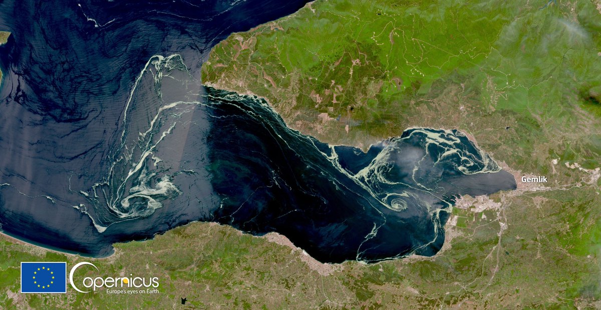 #EUSpace for #WorldEnvironmentDay Restoring♻️#OurPlanet is the solution to solve #biodiversity loss & #ClimateChange EU Space🇪🇺🛰️data support #GenerationRestoration and activities to preserve #OurOcean and improve #WaterQuality ⬇️#Marine mucilage episode in the Sea of Marmara