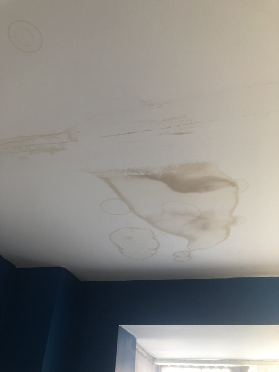 prosser_elaine's tweet photo. @homes_wilson @DavidWilsonHome When DWH won’t take responsibility for their contractors incompetent and unacceptable work and forces home owners to go through NHBC - allowing damage to continually worsen - while knowing they should be repairing the issue. https://t.co/78zMSoFDHa