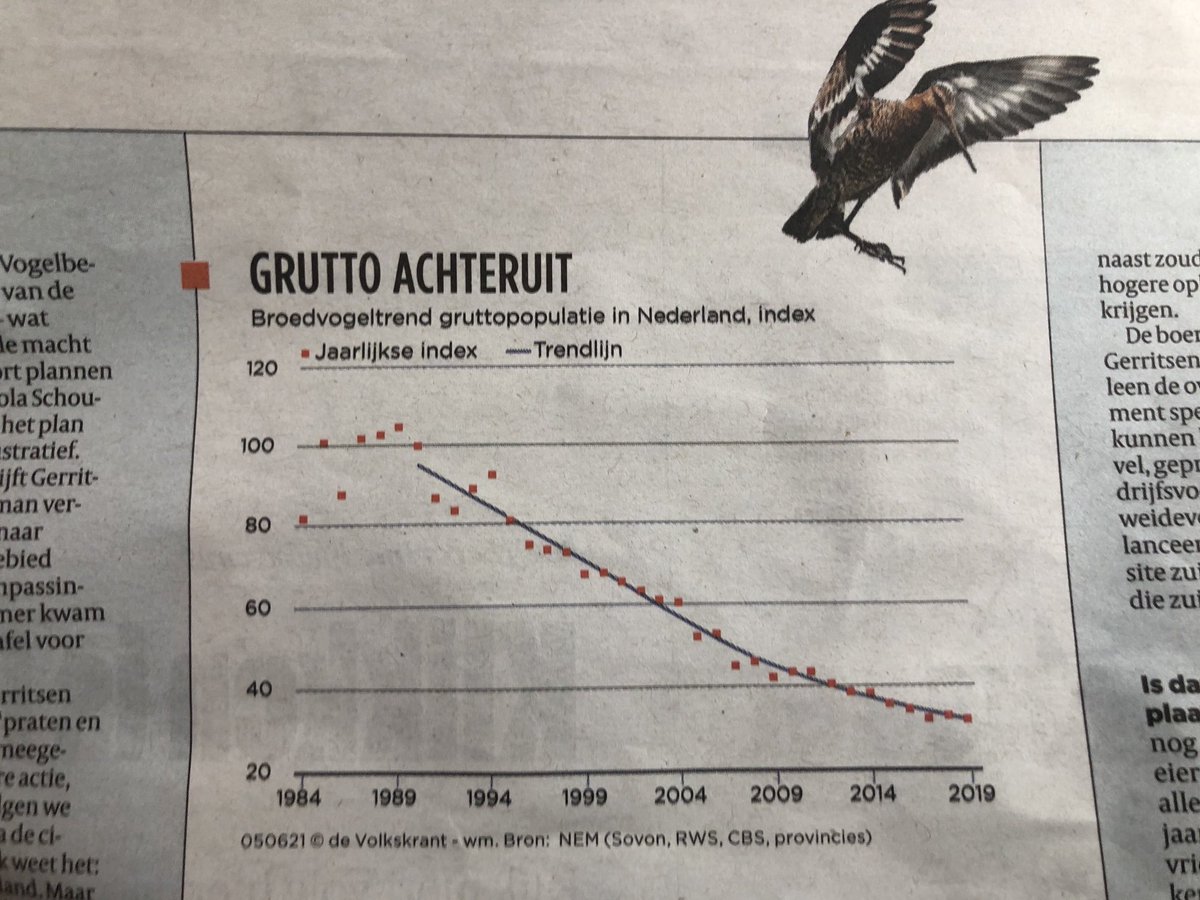 De biografie van Nescio ligt in de winkel. Hij zag in 1955 het landschap al achteruitkachelen. ‘Overigens triest en triest en triest’. ⁦@UtrLandschap⁩