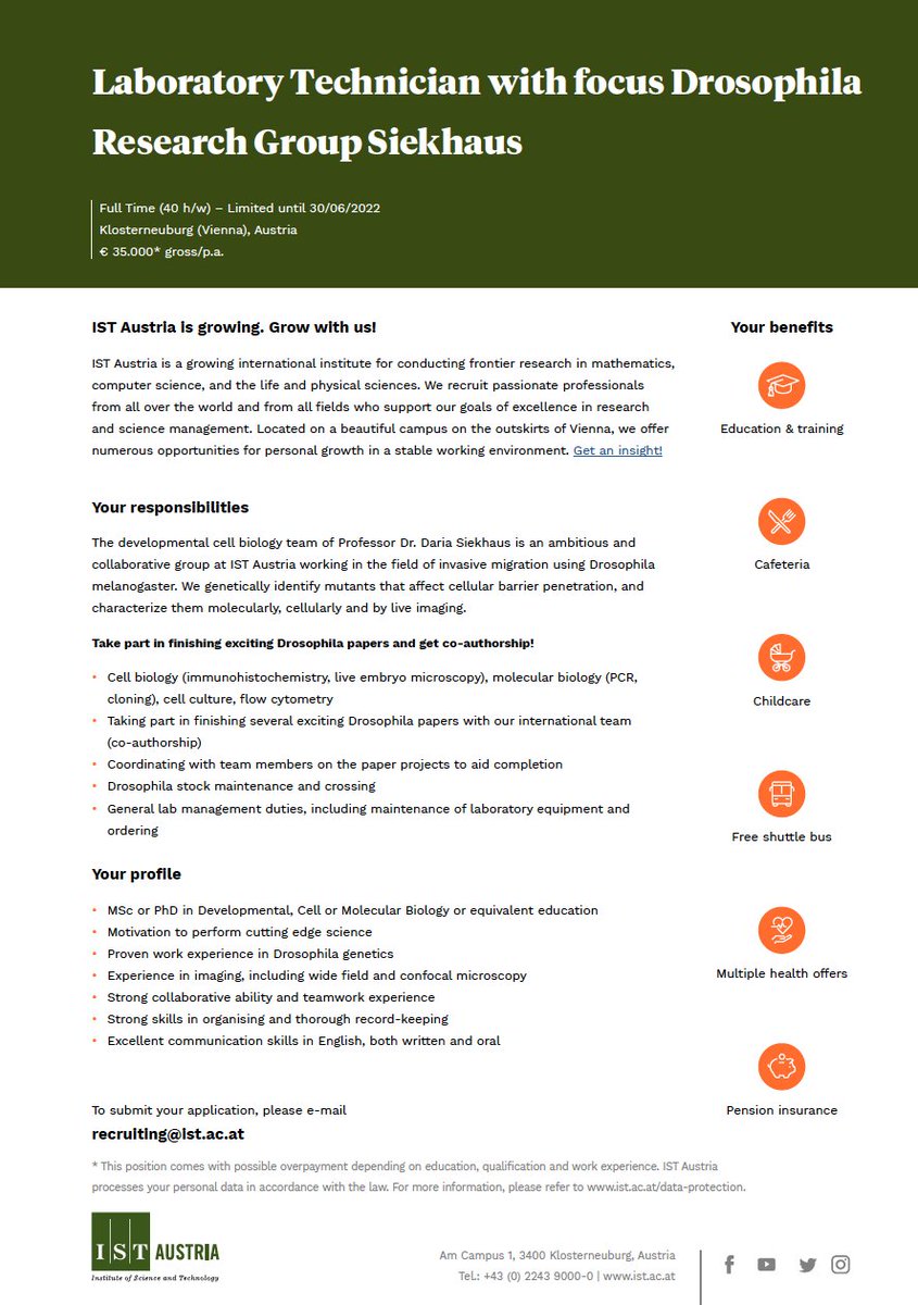 Come join our #Drosophila team near Vienna to finish papers and get co-authorship, while doing some lab management.
