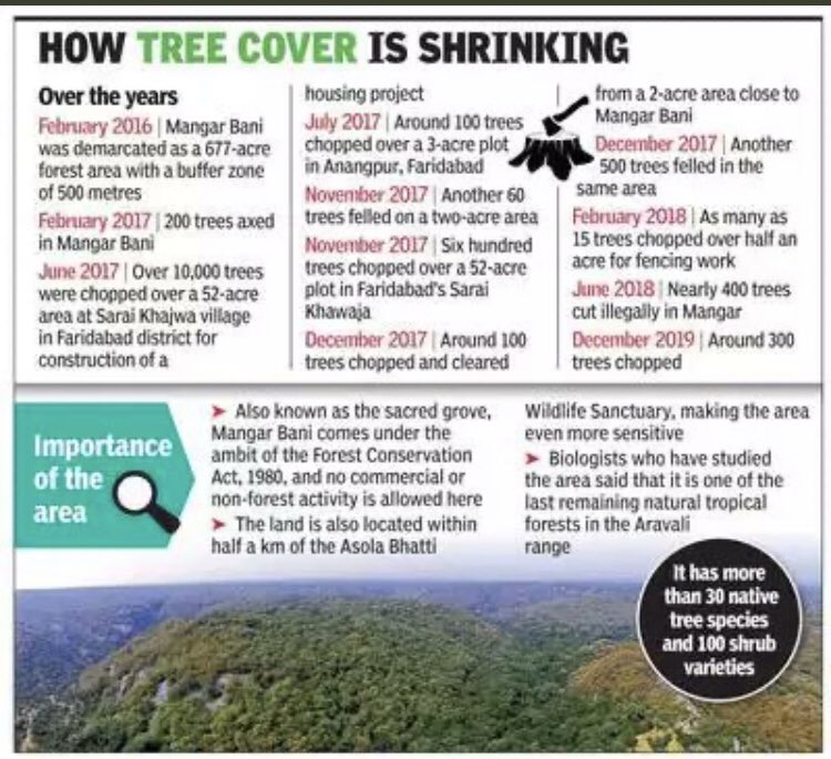 AneraoKailash's tweet photo. @SaveIndianBiod1 @nahluwalia20 @AravalliBachao @DC_Gurugram @yashpalmurar @IASassociation @GargiRawat @DrSarvapriya @JasjeevSinghTOI @chetanecostani @Kum_Sambhav @patelanandk @bahardutt @SonuYadavNBT @wecares4india @rakeshdaultabad @sudhirsinglabjp @SeemaTrikha_BJP @Chiranjeev_INC @Haryanavision @HaryanaAaj @Rao_InderjitS @OfficialGMDA @KambojAnanya @rajeshnagarfbd @jayashreenandi @suparna_r @sofiahsan @vidhiverma019 @sushilmanav @DVJChautala @DeependerSHooda @gurgaon_live @Gurgaon_Tweets @MeraGurgaon @cleanAirBharat @fbdactiongroup @AmitKhatriIAS @anilvijminister @RSRatheeGurgaon @Dchautala @terence_fdes @Moulibasu @anu_p_d @AnupamaPande2 @VforVoice1 @LetIndBreathe @FFFIndia @ceoharyana @cmohry Aravallis have suffered blow after blow because of polluting Bandhwari landfill, PLPA Amendment bill, illegal constructions &amp; upcoming WTE plant. If mining is legalised, it will be the final death knell for this ancient mountain range.
#WorldEnvironmentDay 
#IndiasGreenFuture https://t.co/tu8hkw4VgM