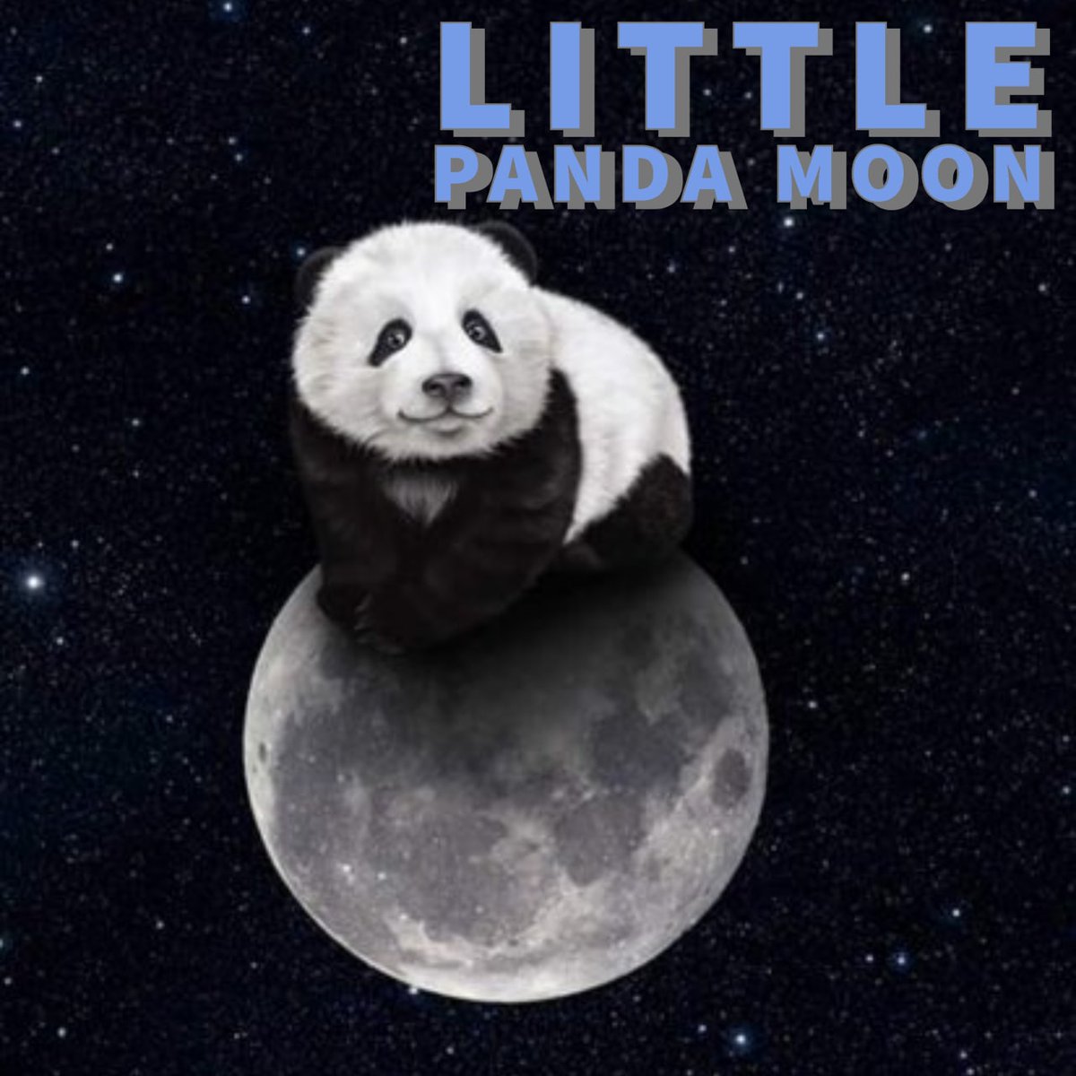 LittlePandaMoo1's tweet photo. @elonmusk 🐼 –> 🌙 https://t.co/UryZo4YlOp