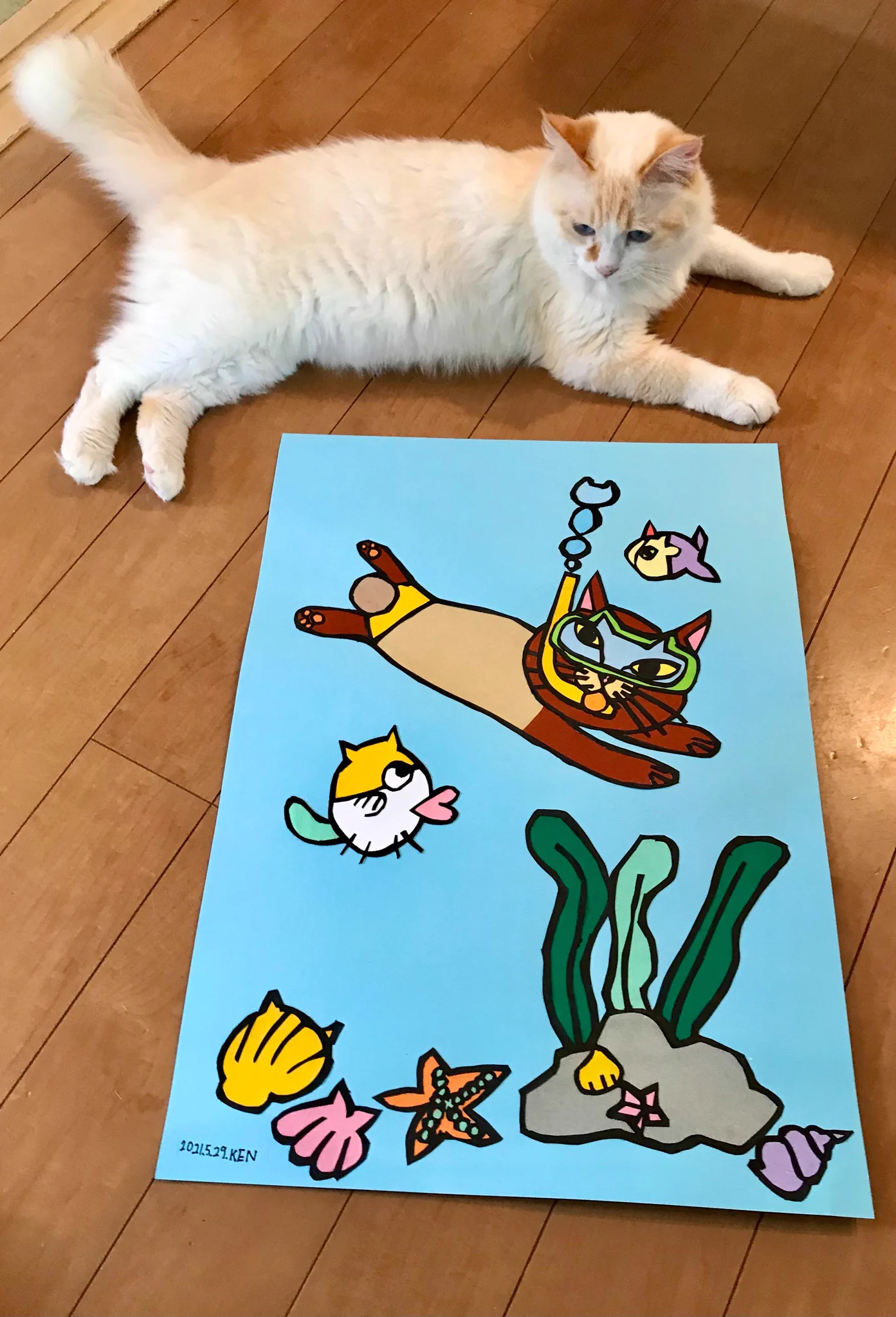 NEKO KEN(ねこけん）小学2年生の男の子・クリエイターとして活躍