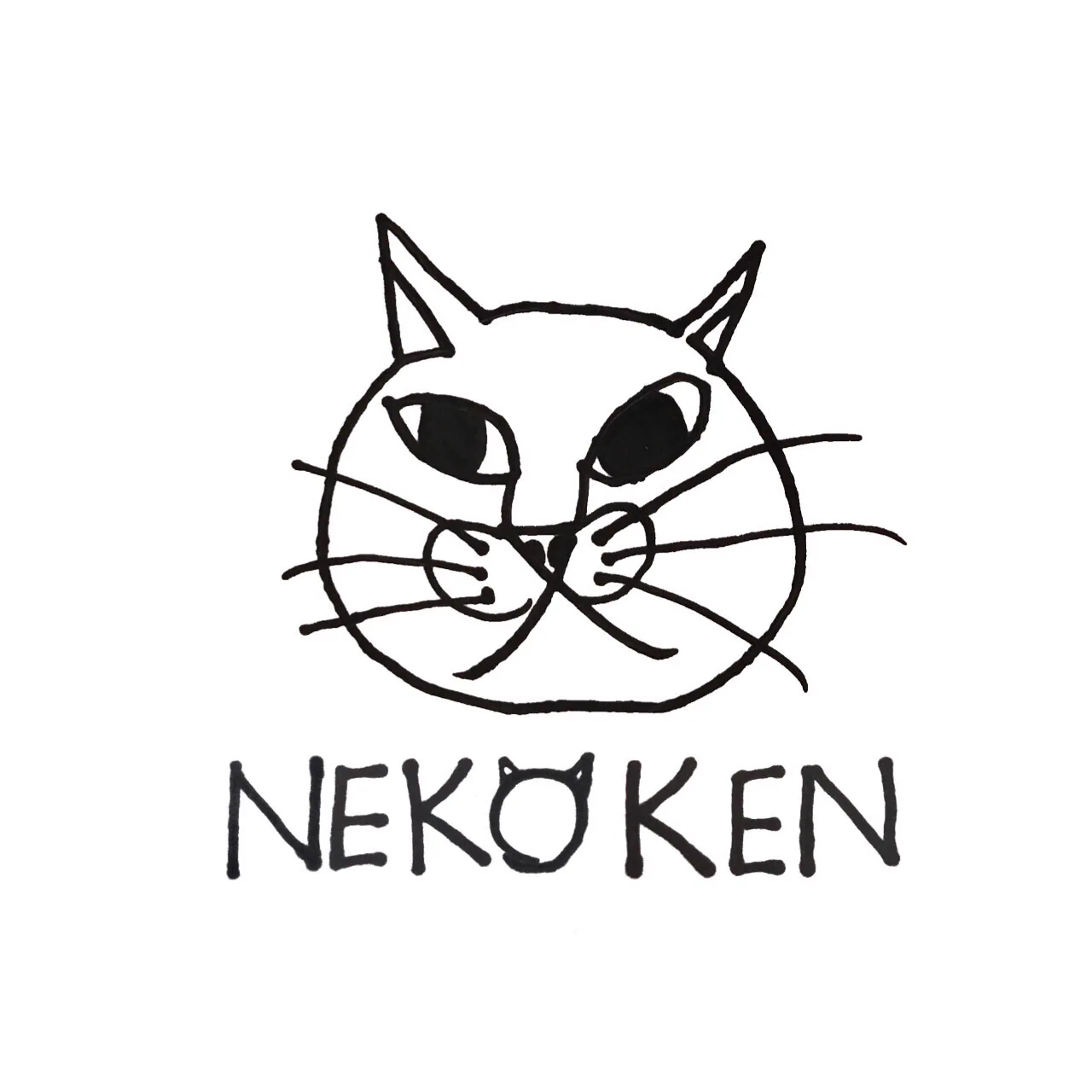 NEKO KEN(ねこけん）小学2年生の男の子・クリエイターとして活躍