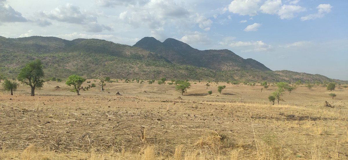 See how beautiful is our natural environment☺️😊 so for this #WorldEnvironmentDay let us make a symbolic action to keep this nature safe!!! With <a href="/ZSLAfrica/">ZSL Africa</a> <a href="/ecofac6/">ECOFAC6</a> #ZSLCameroon #NorthernCameroon #Maroua #proudToWorkForWildlife💪😊
