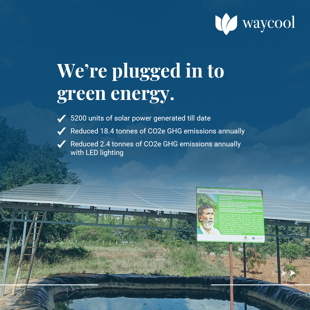 On #WorldEnvironmentDay, let’s look at how we at WayCool are working towards cherishing, nourishing, and restoring our planet. Swipe to read more.  #GenerationRestoration #NetZero #Efficient #RegenerativeAgriculture #SoilRestoration #Water #Impact #FoodMiles