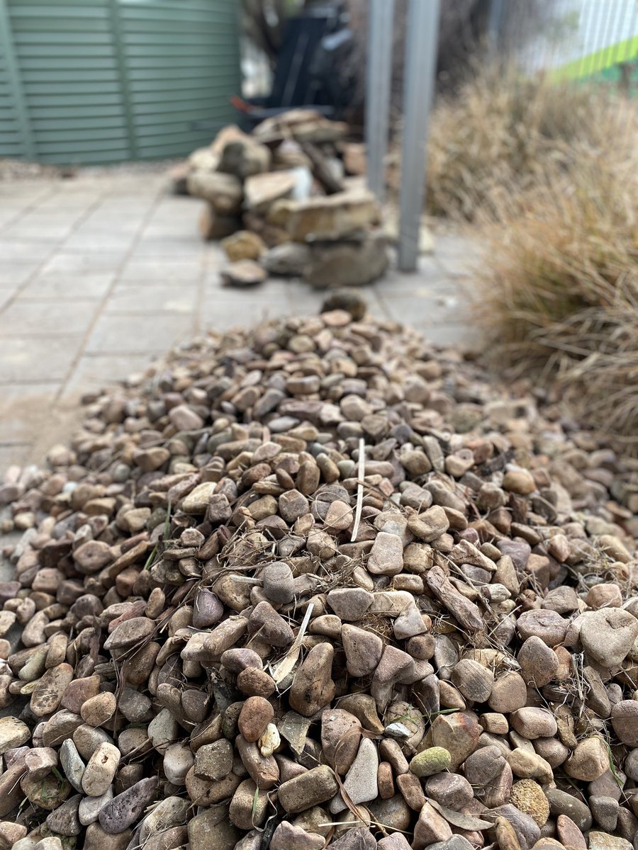 ProjReimaginate's tweet image. Outdoor classroom space has been cleared. Ready for soil to level the space, paths and native garden beds. Massive effort from Ss of all ages to help prepare for the transformation. 

#ProjReimaginate