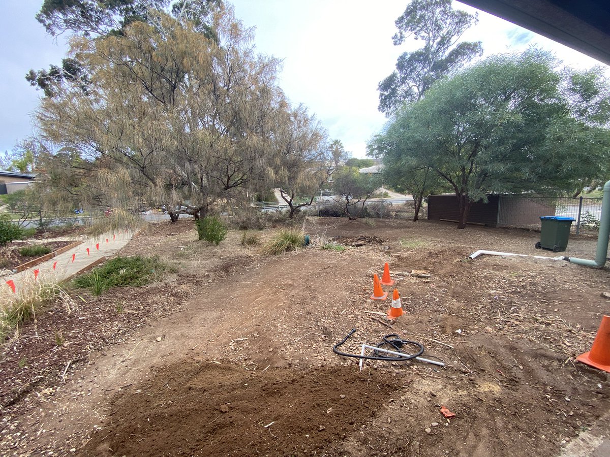 ProjReimaginate's tweet image. Outdoor classroom space has been cleared. Ready for soil to level the space, paths and native garden beds. Massive effort from Ss of all ages to help prepare for the transformation. 

#ProjReimaginate