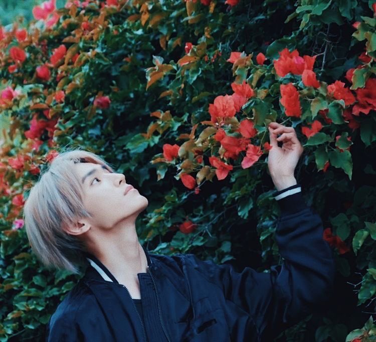 툥 🌙 tweet media