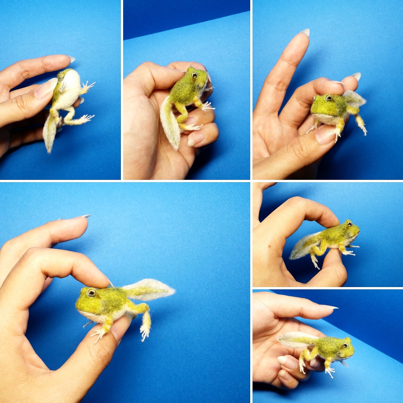 かわもと こう ホオコケツノガエル 変態期 長尻尾 オーダー２つ目完成 羊毛フェルト カエル おたまじゃくし ハンドメイド オーダーメイド ホオコケツノガエル T Co Ekrjgljmdb Twitter