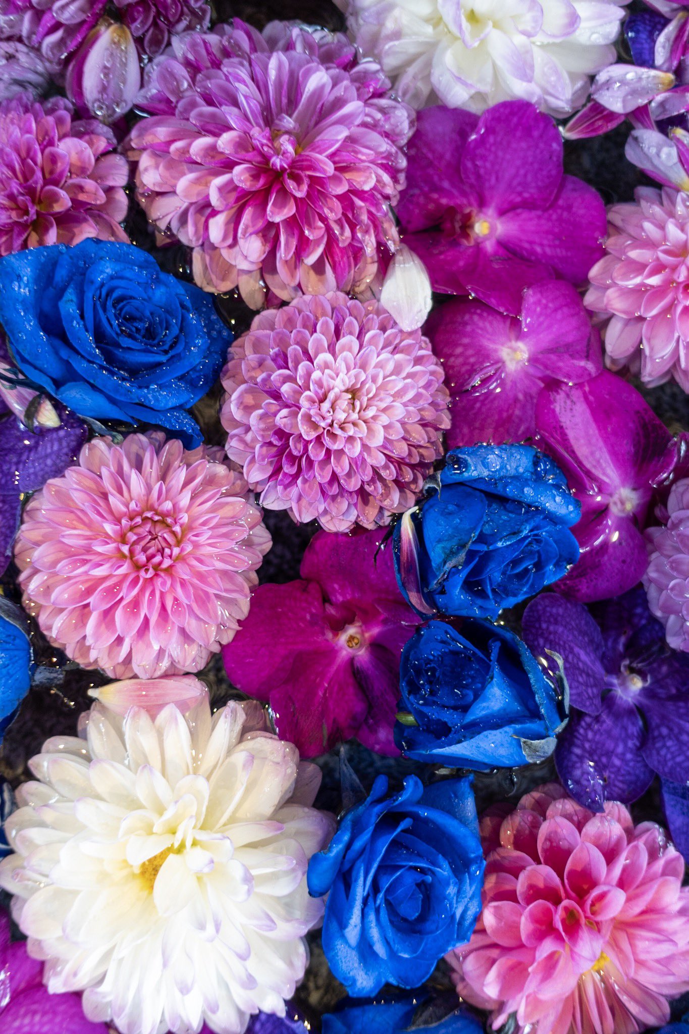 現人神社 花手水のお花入れ替えました 皆さまのご参拝心よりお待ちしております 現人神社への交通アクセス 博多駅から博多南駅 那珂川市 まで８分 博多南駅からバス タクシーで１０分 福岡空港から地下鉄博多駅まで６分