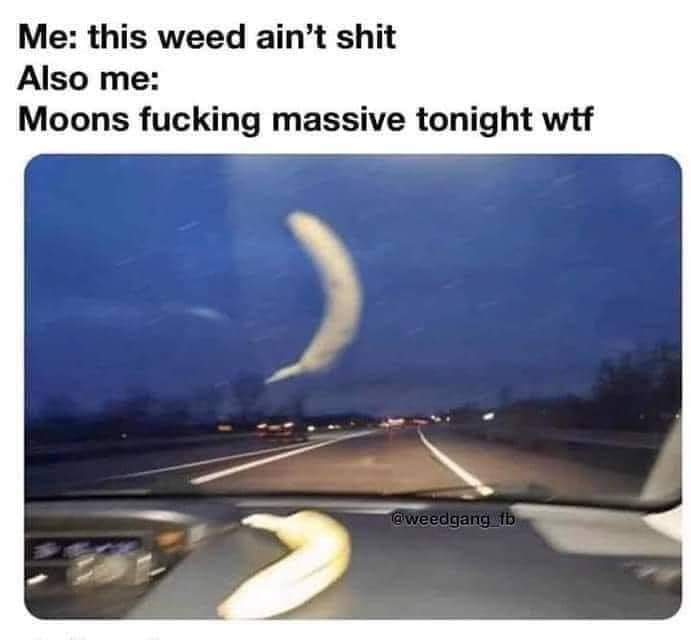 DatDamnE2's tweet image. 🙇🤷🤦