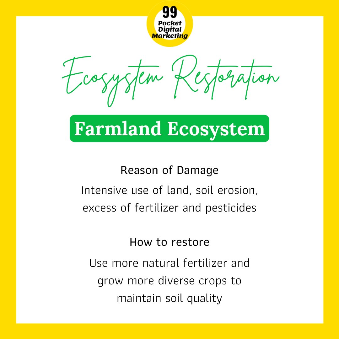 99pocketdigital's tweet photo. Let us REIMAGINE. RECREATE. RESTORE our beautiful planet for our future generations.
Source:- https://t.co/A4Mu5pxwtm (Guide from UNEP)
#GenerationRestoration #EcosystemRestoration #DhartiKaDil #WorldEnvironmentDay #Awareness #UNEPGuide #SaveEnvironment #worldenvironmentday2021 https://t.co/u4EEZsEkcQ