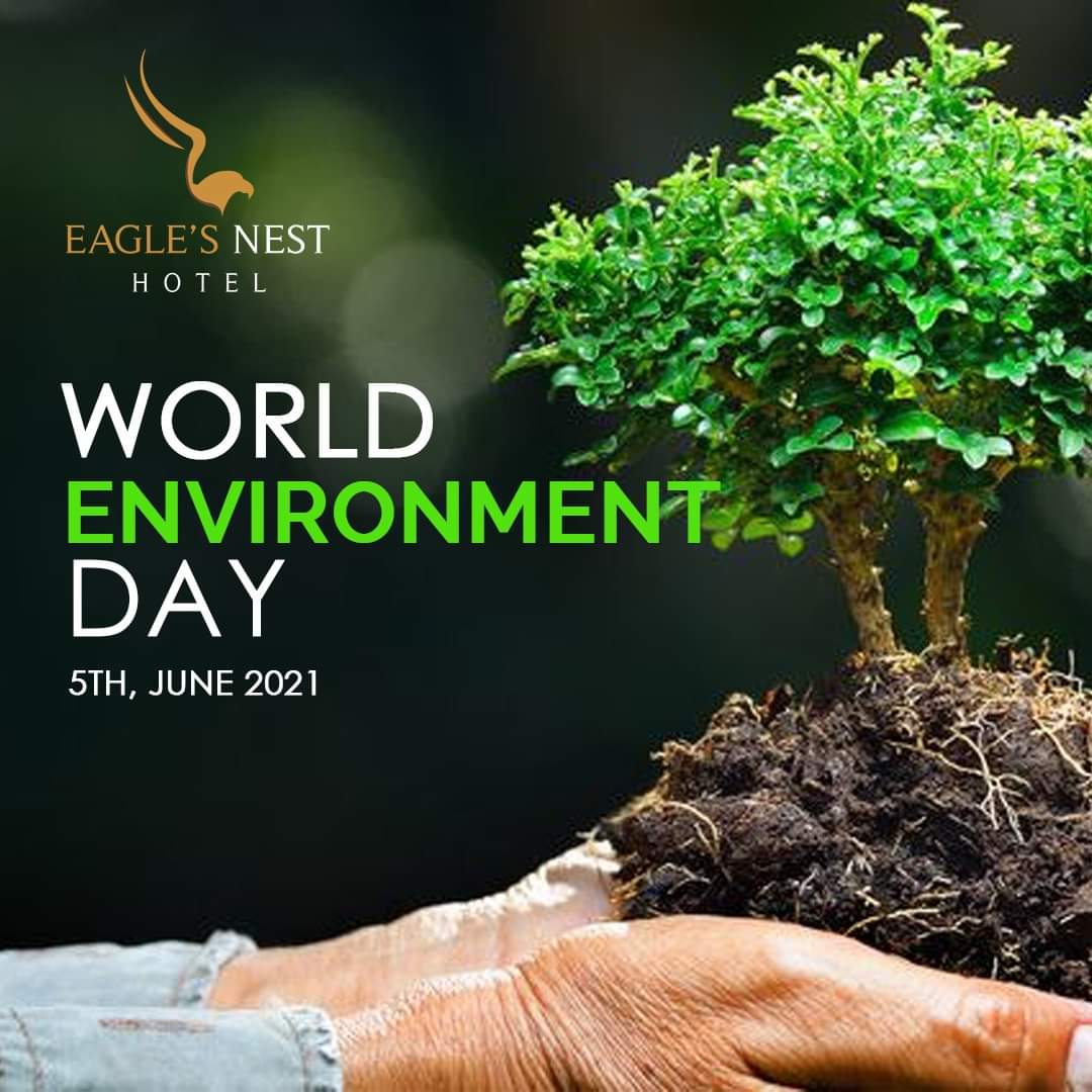 HunzaEaglesNest's tweet photo. Each of us can make a difference in Ecosystem Restoration.
Join #GenerationRestoration
🌐 https://t.co/KcI6iaz45X

#WorldEnvironmentDay2021 #WorldEnvironmentDay #ecosystemrestoration #ecosystembuilding #ecosystem #pakistan #EaglesNest #EaglesNestHunza #EaglesNestHotelHunza https://t.co/QZuqAYeaOM