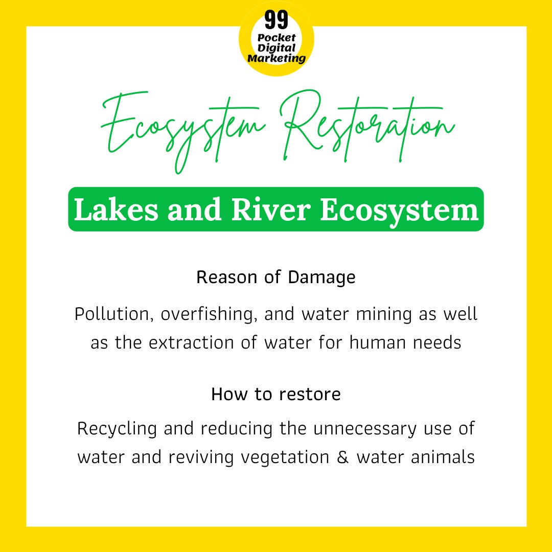 99pocketdigital's tweet photo. This year’s observance of World Environment Day will be on the theme of “Ecosystem Restoration” and focus on resetting our relation with nature.
#PlantTree #SaveEarth #UNEP #GoGreen #India  #DigitalMarketing #SocialMediaMarketing #SocialSamosa #SocialMediaAdency #GraphicDesign https://t.co/e6qu1NJjg2