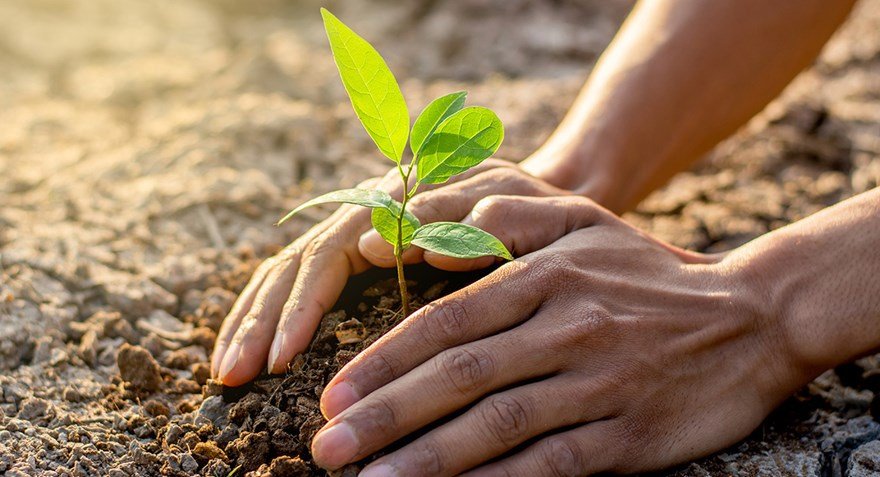 Let's do our small bit to make the world a cleaner and healthier place…. 
#WorldEnvironmentDay  
#EnvironmentDay  
<a href="/WHO/">World Health Organization (WHO)</a>,<a href="/FAO/">Food and Agriculture Organization</a>