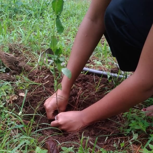 GTFmeghalaya's tweet photo. #EcosystemRestoration🌏 #EveryDayIsWorldEnvironmentDay🌳
#environment 🦌🌱🌴🐬🐦🦖 https://t.co/Co5BMgA9AF