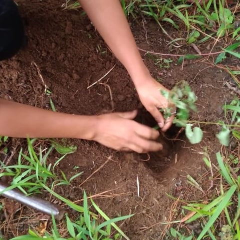 GTFmeghalaya's tweet photo. #EcosystemRestoration🌏 #EveryDayIsWorldEnvironmentDay🌳
#environment 🦌🌱🌴🐬🐦🦖 https://t.co/Co5BMgA9AF