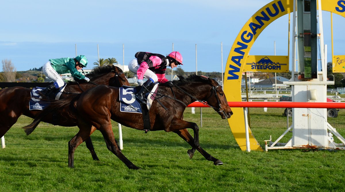 NZ Racing News tweet media