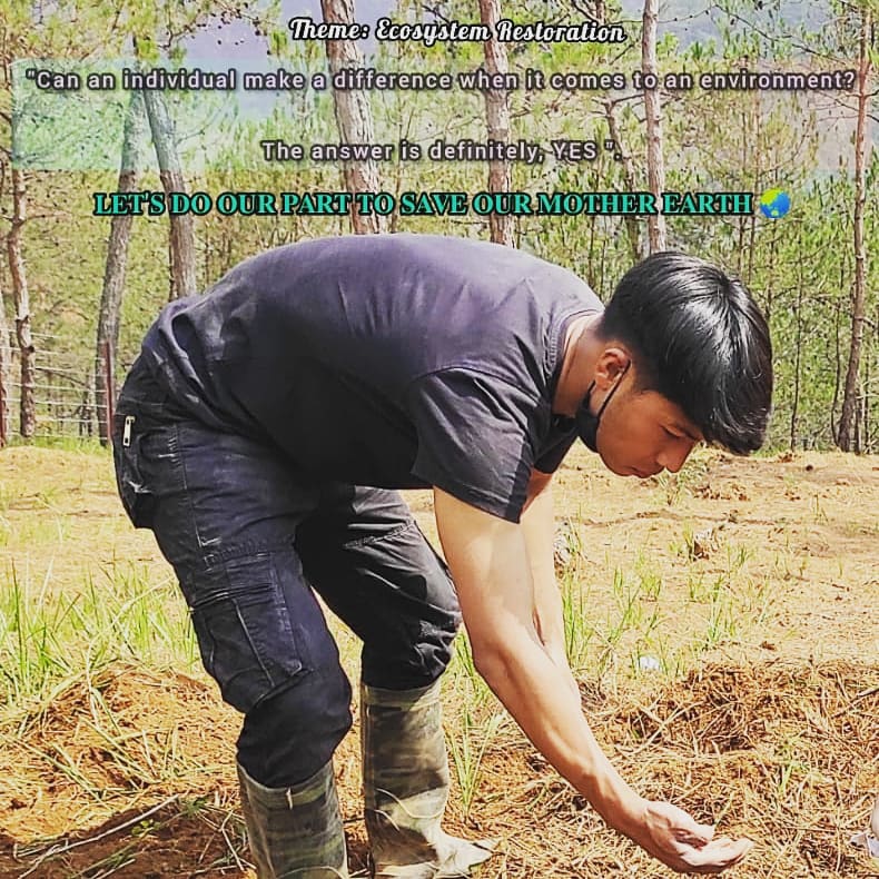 GTFmeghalaya's tweet photo. #5thJune2021 #EcosystemRestoration🌏 #EveryDayIsWorldEnvironmentDay🌳
#environment 🦌🌱🌴🐬🐦🦖 https://t.co/AchlD7zuwS