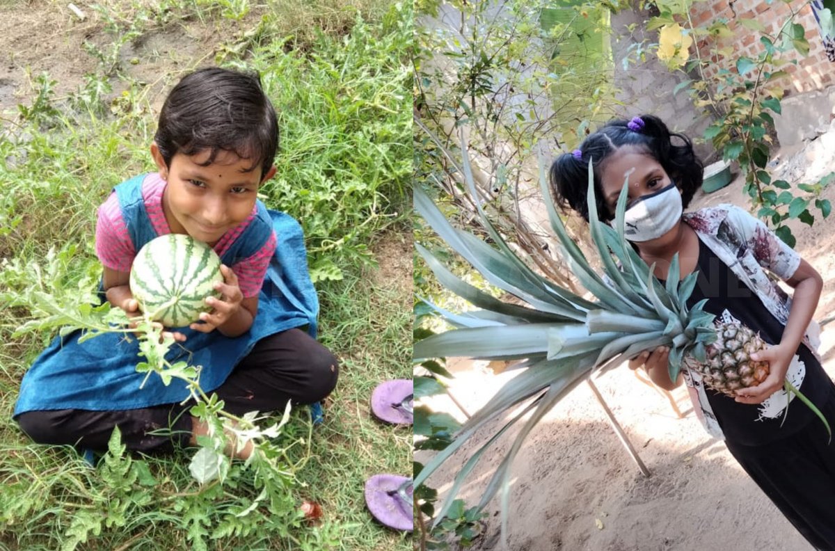 FOGoodness's tweet photo. This World Environment Day, the beneficiaries of the VHE Centres of Thirukkovil, Udumulla, Sittandy, Murukandy and Oddusuddan planted trees and took care of their home gardens, in line with @UNVSriLanka's #TogetherAtHomeChallenge.
#WorldEnvironmentDay2021 #volunteerathome https://t.co/3NBjX4UYgX