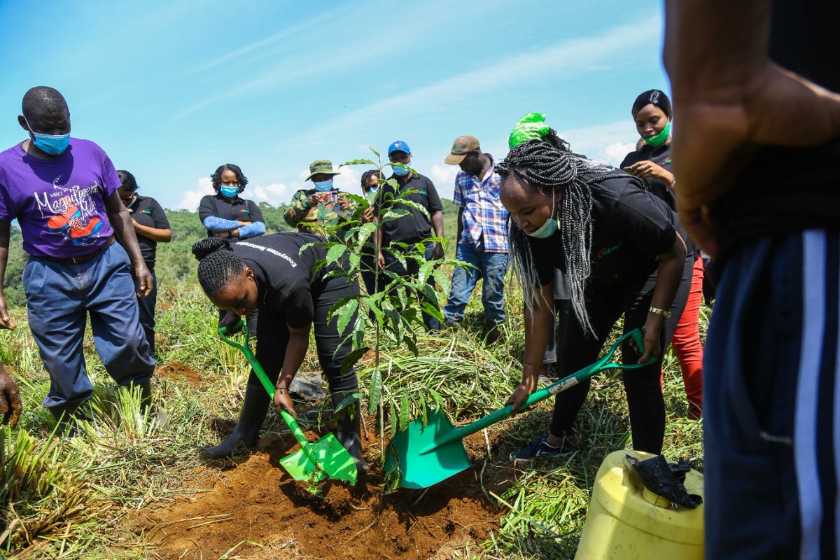 Safaricom PLC tweet media