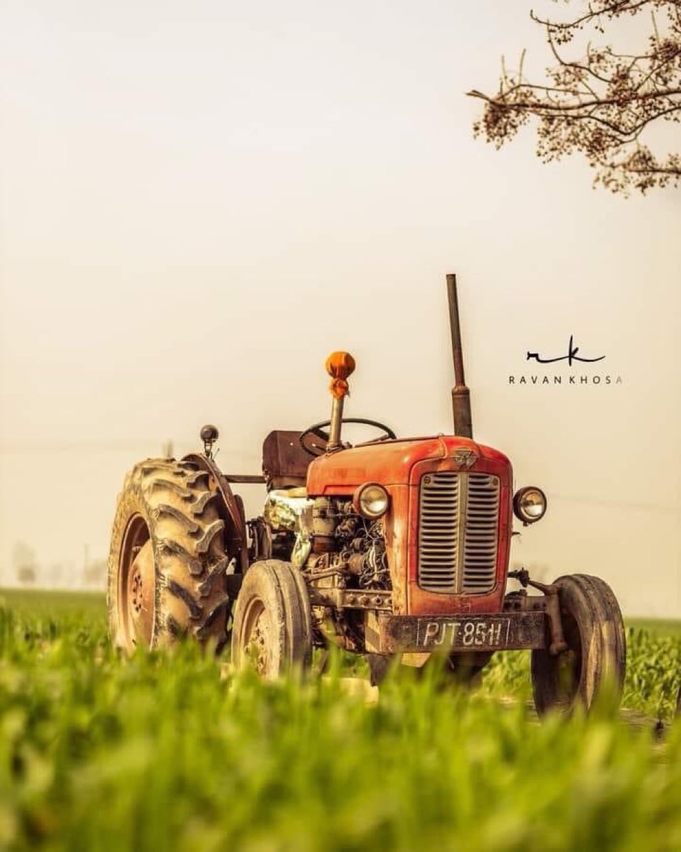 Nsuiishudhawan's tweet image. साबित करो के ज़मीर से जिंदा हो , मरे ज़मीर से सांस लेना भी कोई ज़िंदगी है !!

#जुमले_नहीं_कानून_वापसी
#ModiStopCrying_RepealLaws