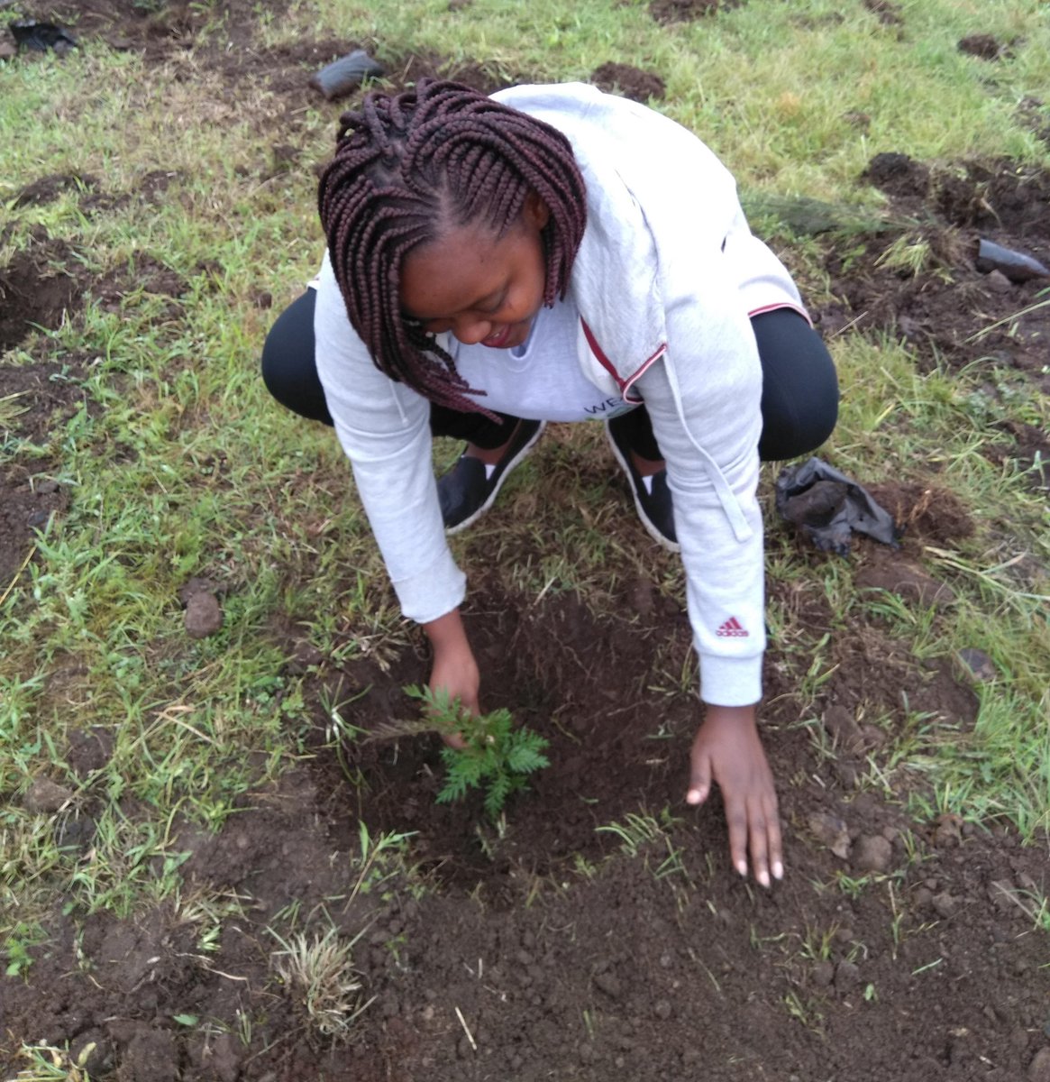 MuMuthonithuku1's tweet photo. Planting a tree is the first serious step towards ecosystem restoration. #WorldEnvironmentDay #EcosystemRestoration #WorldEnvironmentDay2021 #ClimateAction https://t.co/l6Y0joqgt1