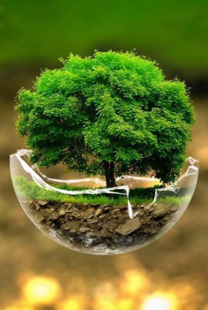 deepanshusaini_'s tweet photo. Earth is like our home and we must make efforts to keep it clean & green. On the occasion of #WorldEnvironmentDay let us promise to make it a better place to live...🌱🌳🌱
#GoGreen #Restore
#EnvironmentDay
#WorldEnvironmentDay2021
#cleanearthgreenearth
#विश्व_पर्यावरण_दिवस https://t.co/J6wfLD6Ai4