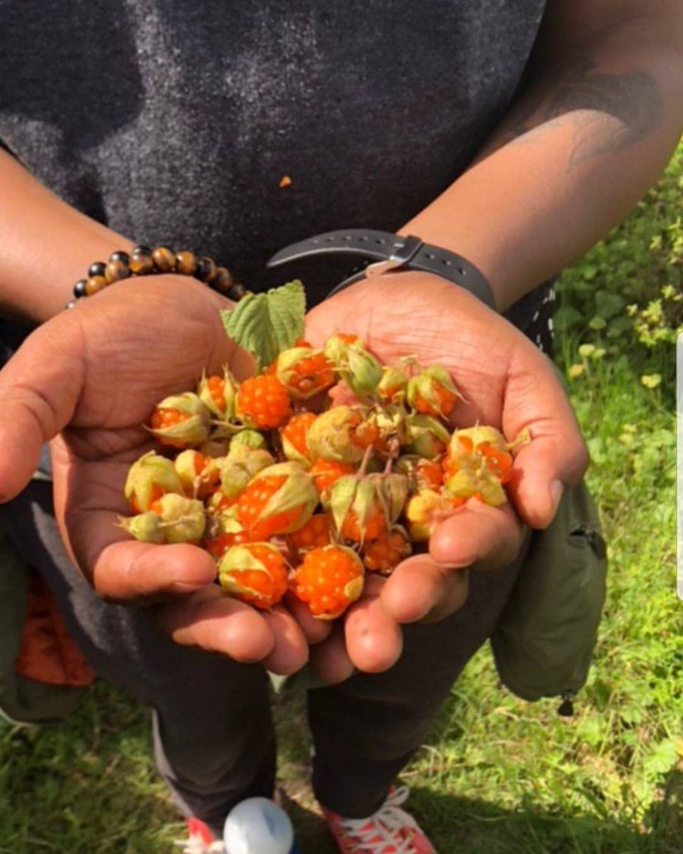 addis_hiking's tweet photo. Even though we brought snacks on our Menz Guassa conservation area hike, we'll gladly accept this offering from Nature Mom 🌎
#landoforigins #ethiopia #addishiking #mysteryberry
#naturemom #earthmom #naturesnacks #freesnacks https://t.co/QWirjNYpDZ